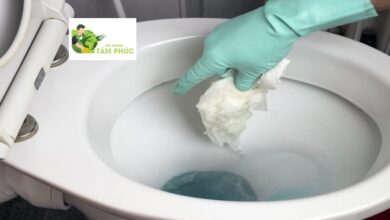 Thông Tắc Bồn Cầu Tại Vĩnh Phúc